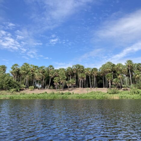 Ruta Transchaco