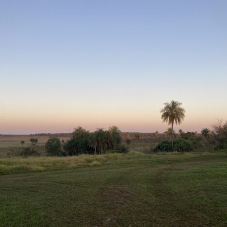 Am Río de la Plata